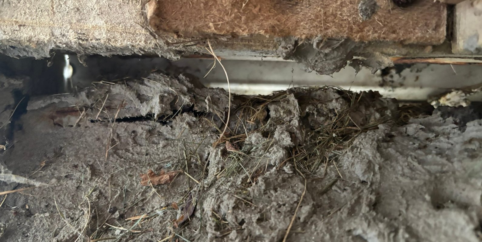 Close‑up view of a visible gap between the foundation masonry and wood sill plate at the garage, identified during a post‑winter structural evaluation—an example of localized separation that warrants repair to protect long‑term structural durability.