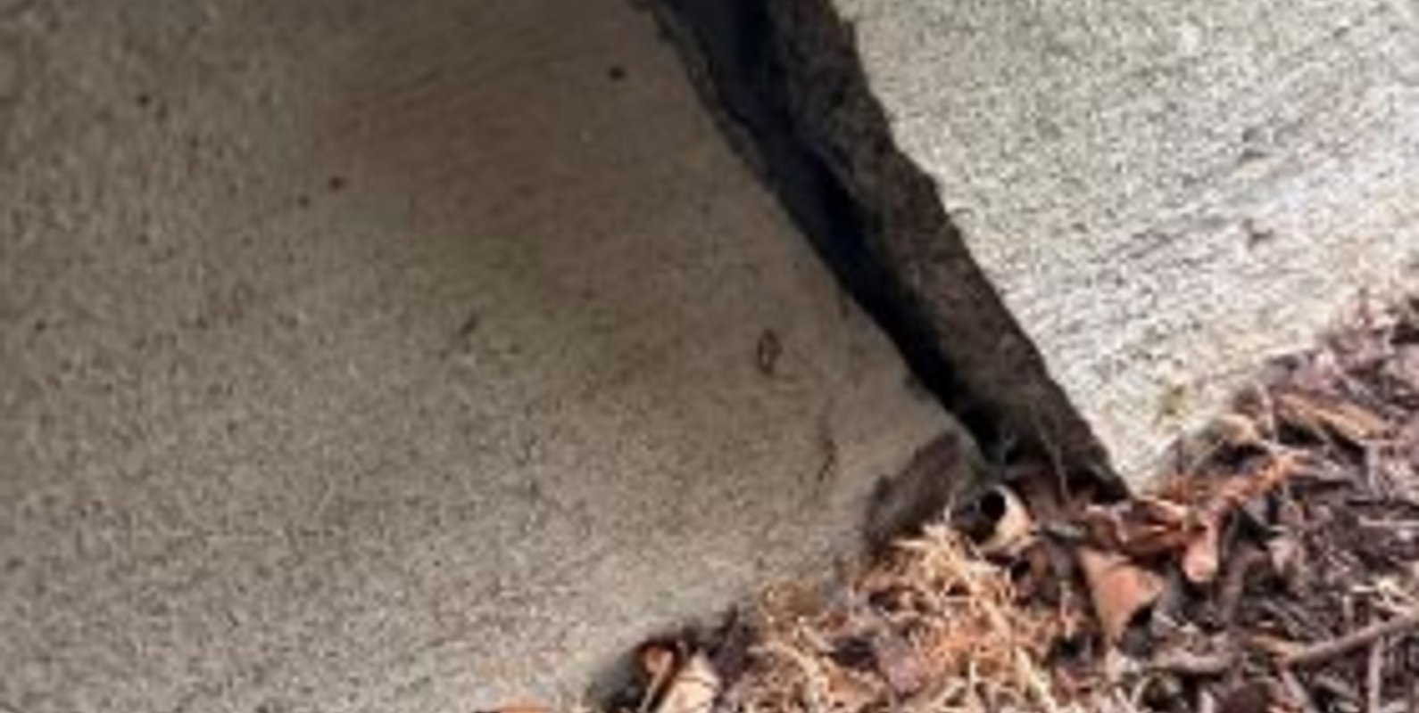 Cracking and separation in a foundation can be a visible sign of movement that warrants further evaluation.